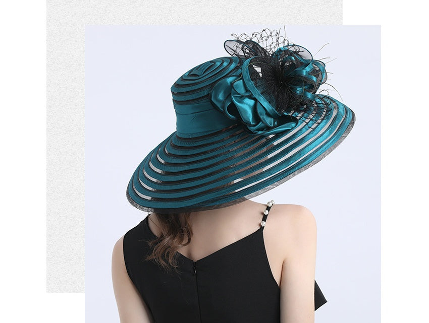 Ladies Fashion Casual Big Brim Hat